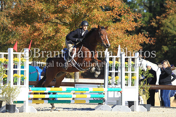 aWC1B1788