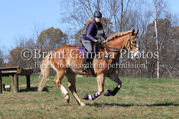 VF9C2066