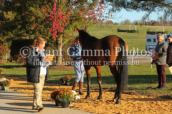 VF9B3185