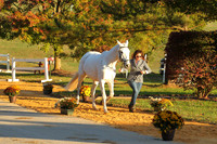 VF9B2875
