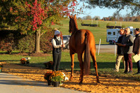 VF9B3042