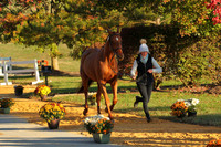 VF9B3045