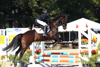 WC1B2009