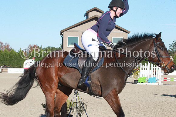 aWC1P2013