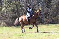 VF9C2873