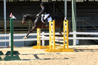VF9L2918