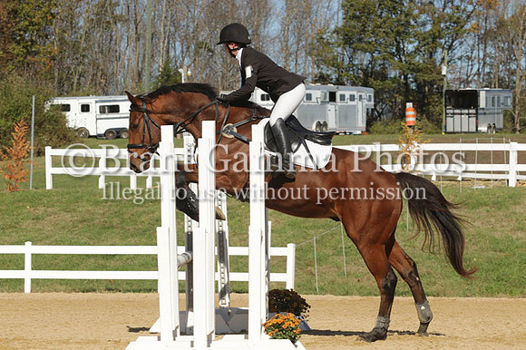 VF9E6111