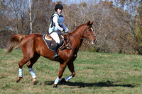 VF9C8600