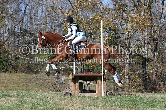 VF9Q2373