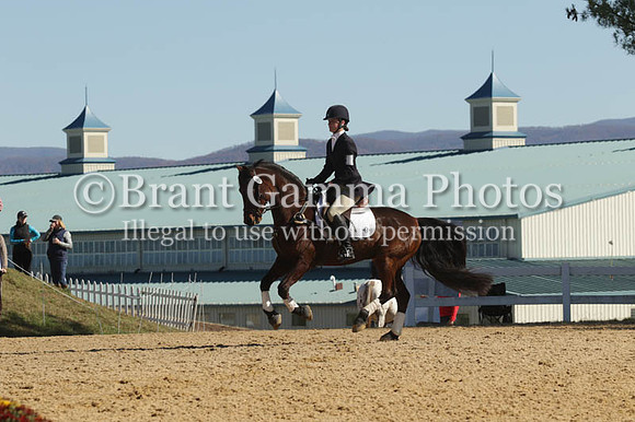 VF9E6084