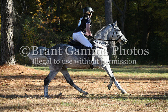 WC1Z4376