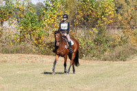 WC1K3736