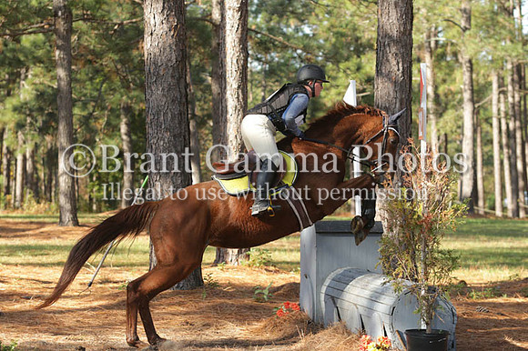 WC9E9191