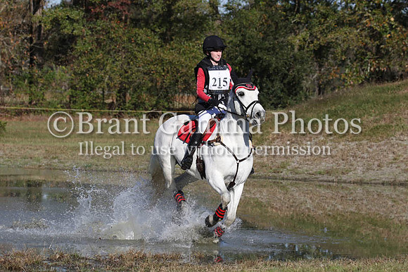 WC9C4664