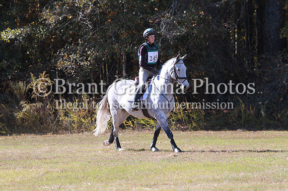 WC1P2671