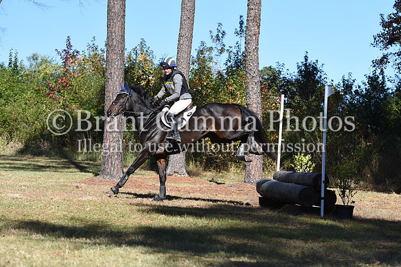 W1A_1034