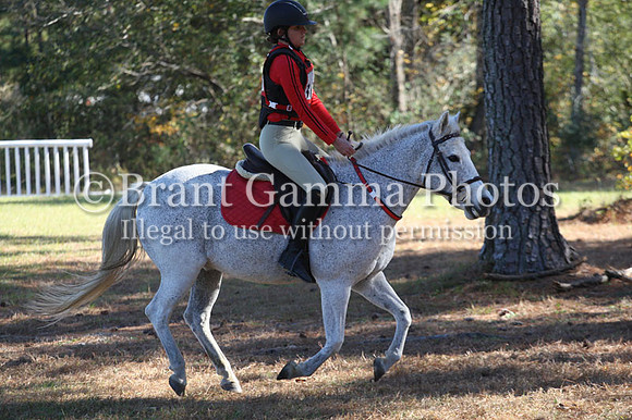 WC1Z5939