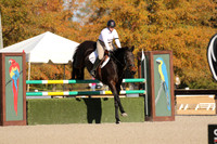 ED212863