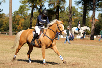 262A6246