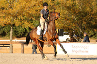 262A5223