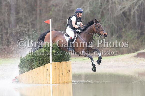 CI25brinkman3-15x1-0806