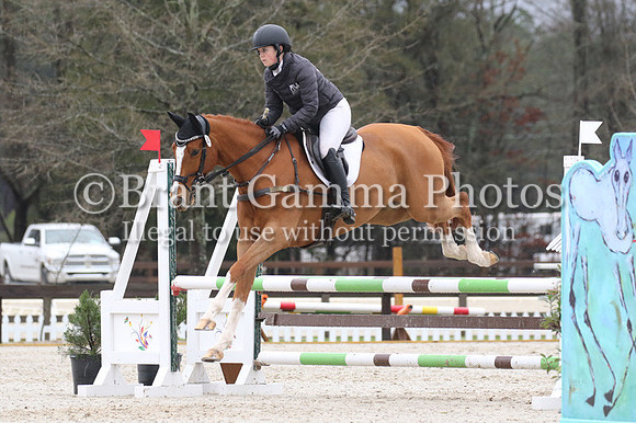 ED4L9598