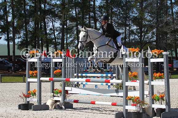 SP0P4294