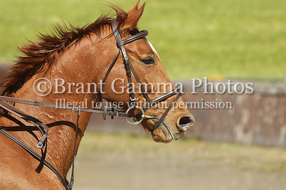 SP0E2099