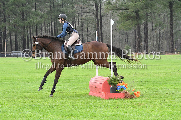 SPS_2009