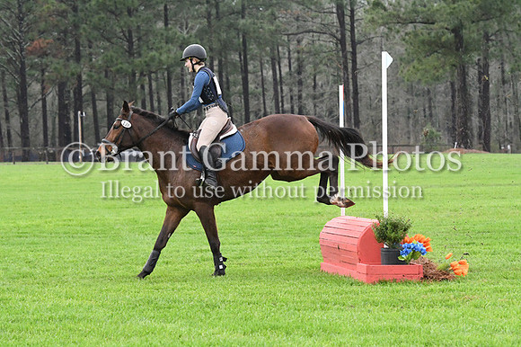 SPS_2010
