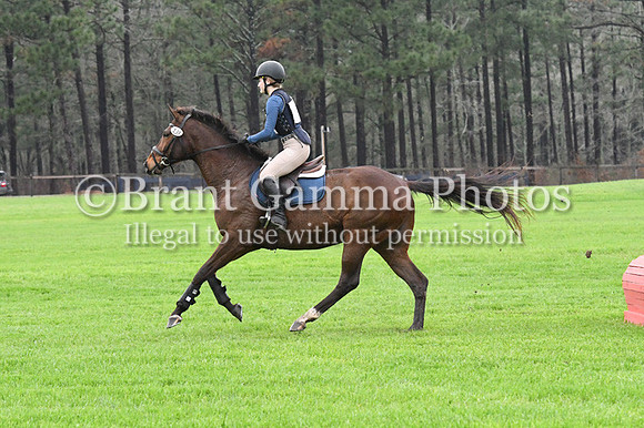 SPS_2013