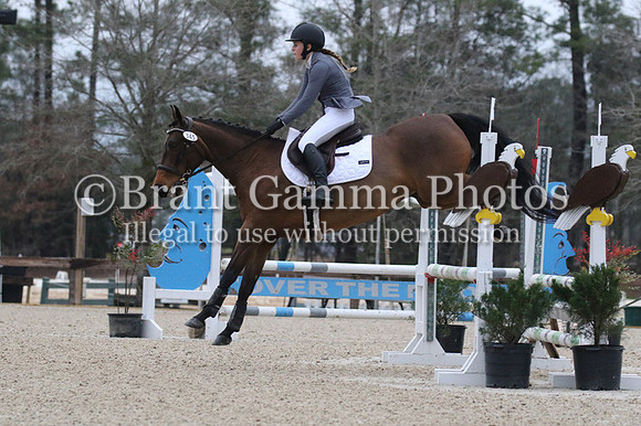 ED4L1273