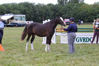 GV0B1310