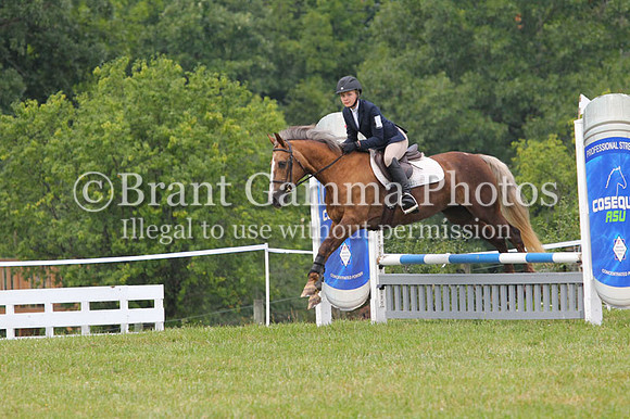 GV0B3794