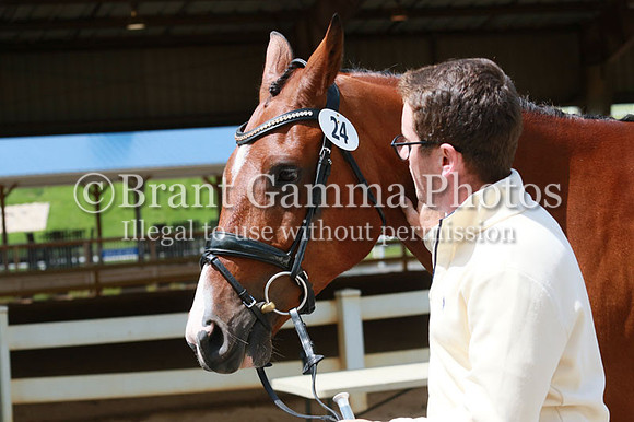 FINN0071