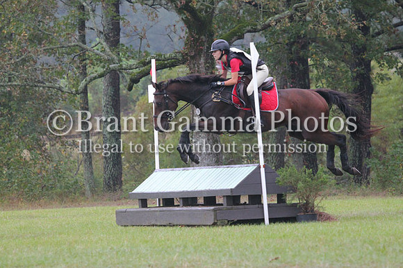 WO0B1278