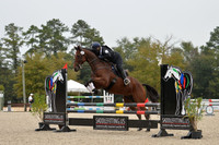 W0L_3267