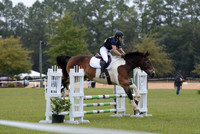 W0A_1575