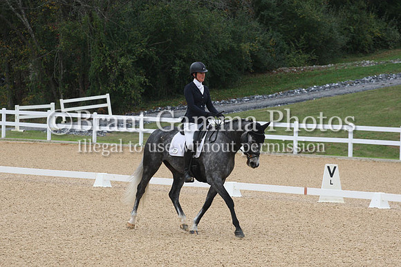 VF0L1216