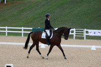 VF0L1500