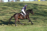 VF0K1979