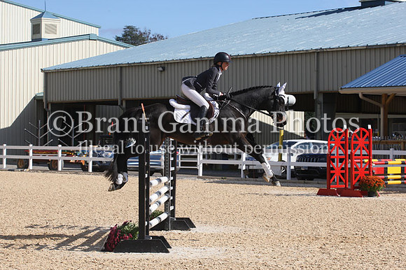 VF0L9498