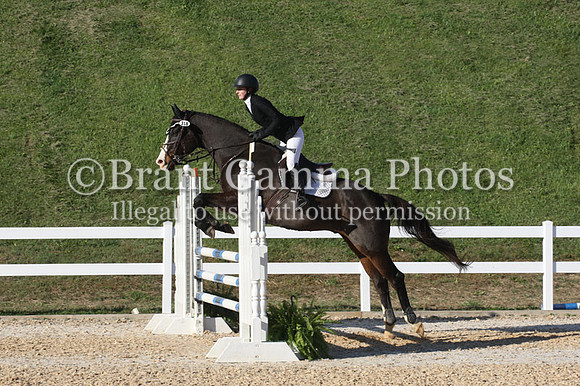 VF0L0830