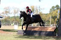 WC0C3223