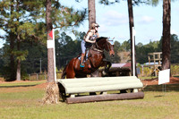 WC0P0124