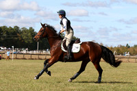 WC0C3076