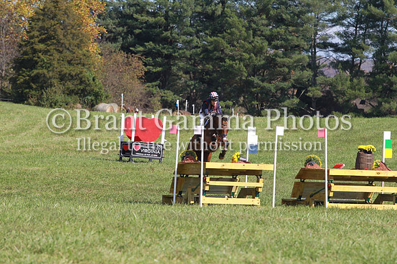 VF0B3826