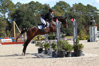 VF0B0277