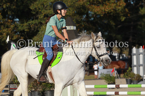VF0B8331