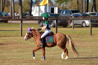 VF0B8088